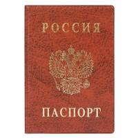 ДПС Обложка для паспорта, вертикальная, коричневая