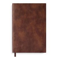 Феникс + Ежедневник датированный на 2020 год "Баффало", коричневый, А5, 176 листов