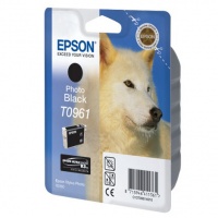 Epson T0961