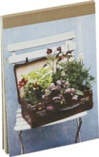 Ryland Peters & Small My Garden Postcard Book