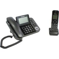 Panasonic KX-TGF310RUM