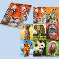 CENTRUM Блокнот 3D "Wild Animals", А7, 30 листов