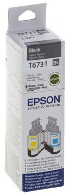 Epson T6731