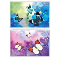 School Альбом для рисования "Бабочки на цветах", А4, 40 листов