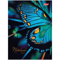 Hatber Бизнес-блокнот "Лайт. Мир бабочек", А6, 160 листов, клетка