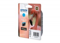 Epson T087 2 Cyan Ink Cartridge