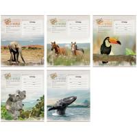 OfficeSpace Тетрадь "Животные. Wild world card", 18 листов, клетка
