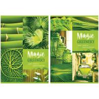 BG (Би Джи) Тетрадь "Magic Green", А4, 96 листов, клетка