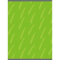 Канц-Эксмо Тетрадь для конспектов "Штрихи на зеленом", А4, 48 листов, клетка