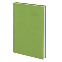BRAUBERG Ежедневник датированный на 2020 год &quot;Rainbow&quot;, А5, 168 листов, цвет обложки зеленый