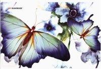 Silwerhof Альбом для рисования "Бабочки ", А4, 20 листов