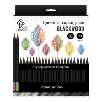 АРТформат Набор карандашей "Blackwood", 24 цвета, трехгранные