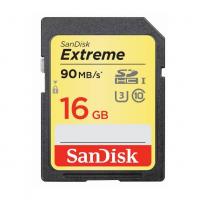 Sandisk SDSDXNE-016G-GNCIN SDHC, 16Гб, Class 10