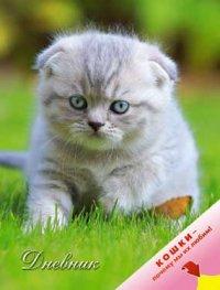 КТС-про Дневник универсальный "Кошки. Дымчатый котенок"
