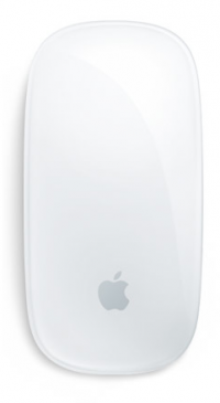 Apple Magic Mouse (MB829ZM/A)