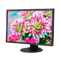 NEC E223W Black