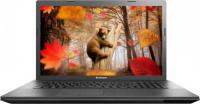 Lenovo Ноутбук IdeaPad G710 17.3&quot; 1600x900 глянцевый i3-4000M 2.4GHz 4Gb 500Gb+8Gb SSD DVD-RW GT820M-2Gb Wi-Fi BT Win8.1 черный 59409833