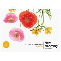 OfficeSpace Альбом для рисования "Цветы. Plant blooming", 32 листа, А4, на склейке