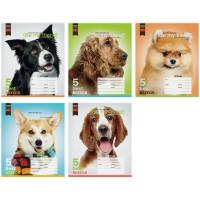 OfficeSpace Тетрадь "Питомцы. Dog collection", 24 листа, клетка