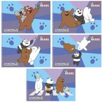 Hatber Альбом для рисования на спирали "We Bare Bears. Вся правда о медведях", А4, 48 листов
