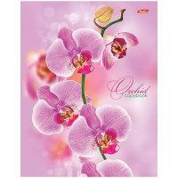 Hatber Тетрадь "Розовая орхидея", А5, 120 листов, клетка