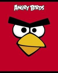 Hatber Тетрадь двойная "Angry Birds", А5, 96 листов, клетка