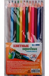 Проф-Пресс Карандаши цветные пластиковые, 12 цветов (арт. KЦ-3329/PK)
