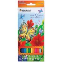 BRAUBERG Карандаши цветные "Wonderful butterfly", 12 цветов, заточенные