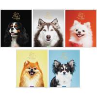 Artspace Комплект тетрадей "Питомцы. Обаятельные собаки", А5, 48 листов, клетка (10 тетрадей в комплекте) (количество товаров в комплекте: 10)