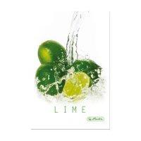 Herlitz Книга записная [Fresh Fruit Limek, А5, клетка, 96 листов