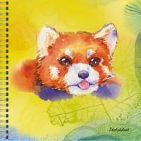Канц-Эксмо Скетчбук "Красная панда (акварель)", 50 листов, 165x165 мм