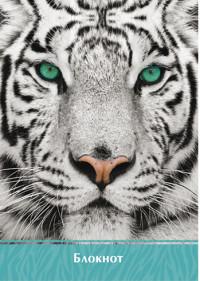 Феникс + Блокнот "Взгляд тигра" А5, 60 листов
