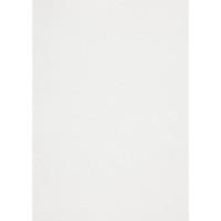 Arjowiggins Бумага для визиток "Arjowiggins. Rives Design", 320x450 мм, ярко-белая, 250 г/м2, 100 листов