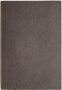 Index Ежедневник недатированный "Spectrum", А5, линия, 128 листов, цвет обложки темно-коричневый