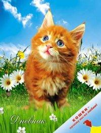 КТС-про Дневник универсальный "Кошки. Рыжий котенок"