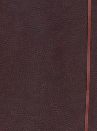 Феникс + Ежедневник недатированный Escalada "Agenda Class", 192x255 мм, 96 листов, коричневый