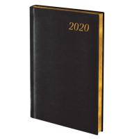 BRAUBERG Ежедневник датированный на 2020 год "Iguana", А5, 168 листов, золотой срез, цвет обложки черный