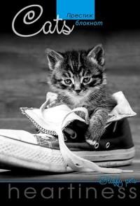 КТС-про Престиж-блокнот на гребне "Серый котёнок", А5, 96 листов, клетка