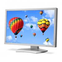 24 NEC MultiSync P242W silver/white