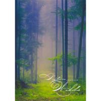 Канц-Эксмо Книга для записей "Волшебный лес", А6, 80 листов, клетка