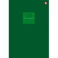 Канц-Эксмо Тетрадь "Стиль и цвет. Зеленый", А5-, 120 листов, клетка