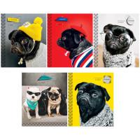 Artspace Тетрадь "Питомцы. Pug", А5, 96 листов, клетка