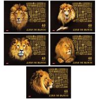 Хатбер-пресс Альбом для рисования "KingLion", А4, 40 листов