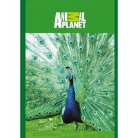 Action! Записная книжка на гребне "Animal planet", А6, 80 листов