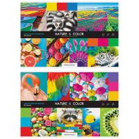 Artspace Альбом для рисования "Стиль. Nature and color", А4, 40 листов