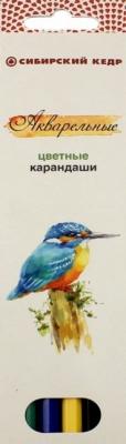 Сибирская карандашная фабрика Карандаши цветные акварельные "Птицы Сибири", 6 цветов