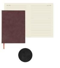 Index Ежедневник недатированный "Colorplay", А6+, 128 листов, линия, чёрный