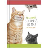 OfficeSpace Бизнес-блокнот "Забавные коты", А6, 160 листов