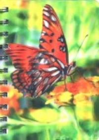 MAZARI Блокнот "Бабочки", А6, 100 листов, клетка
